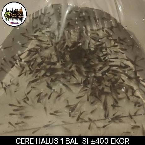 

IKAN CERE HALUS 1 BAL/SEGELAS BANYAK