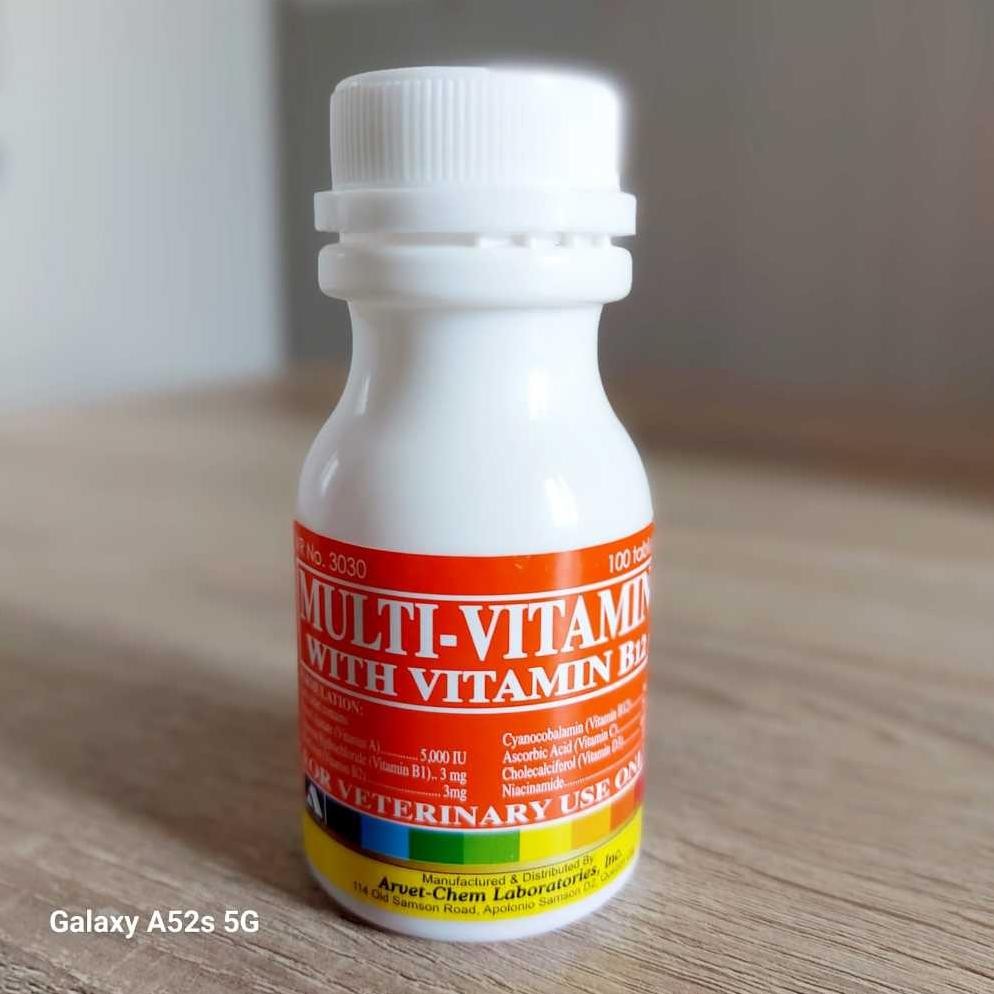 SALE MULTIVITAMIN Ayam Filipina Champ 100 tablet TR21