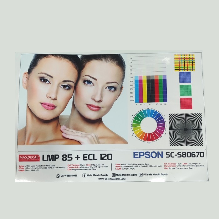 

[155] MAXDECAL LMP85 LABEL PRINT ECOSOLVENT VINYL WHITE GLOSS DRY