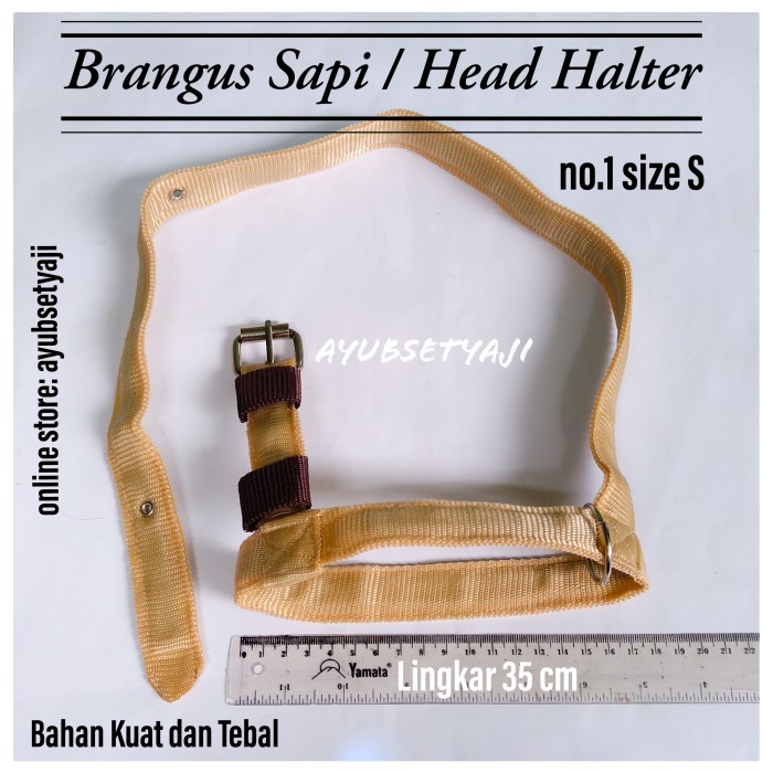 

My Brangus Sapi Head Halter Size S Sapi Kambing Tali Ikat Kepala Sapi