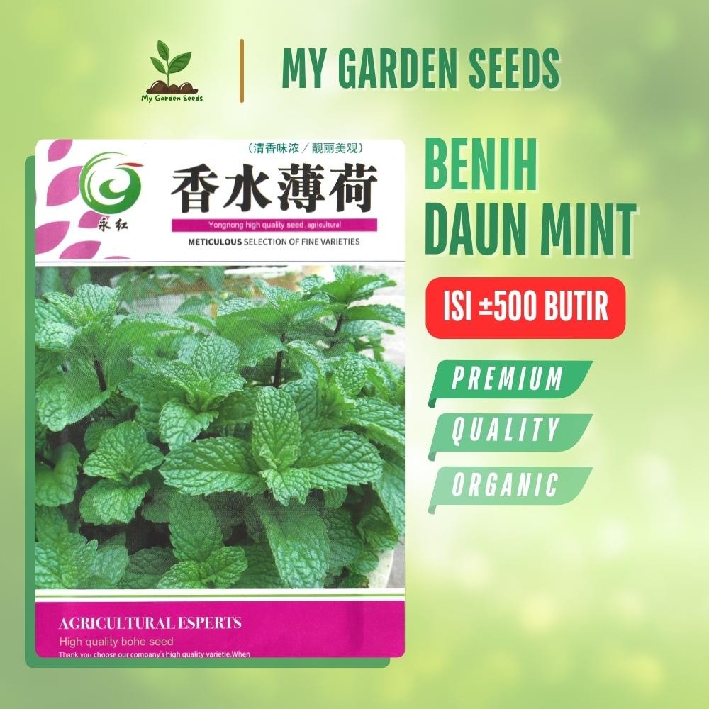 BENIH DAUN MINT KEMASAN IMPORT ± 500 BUTIR