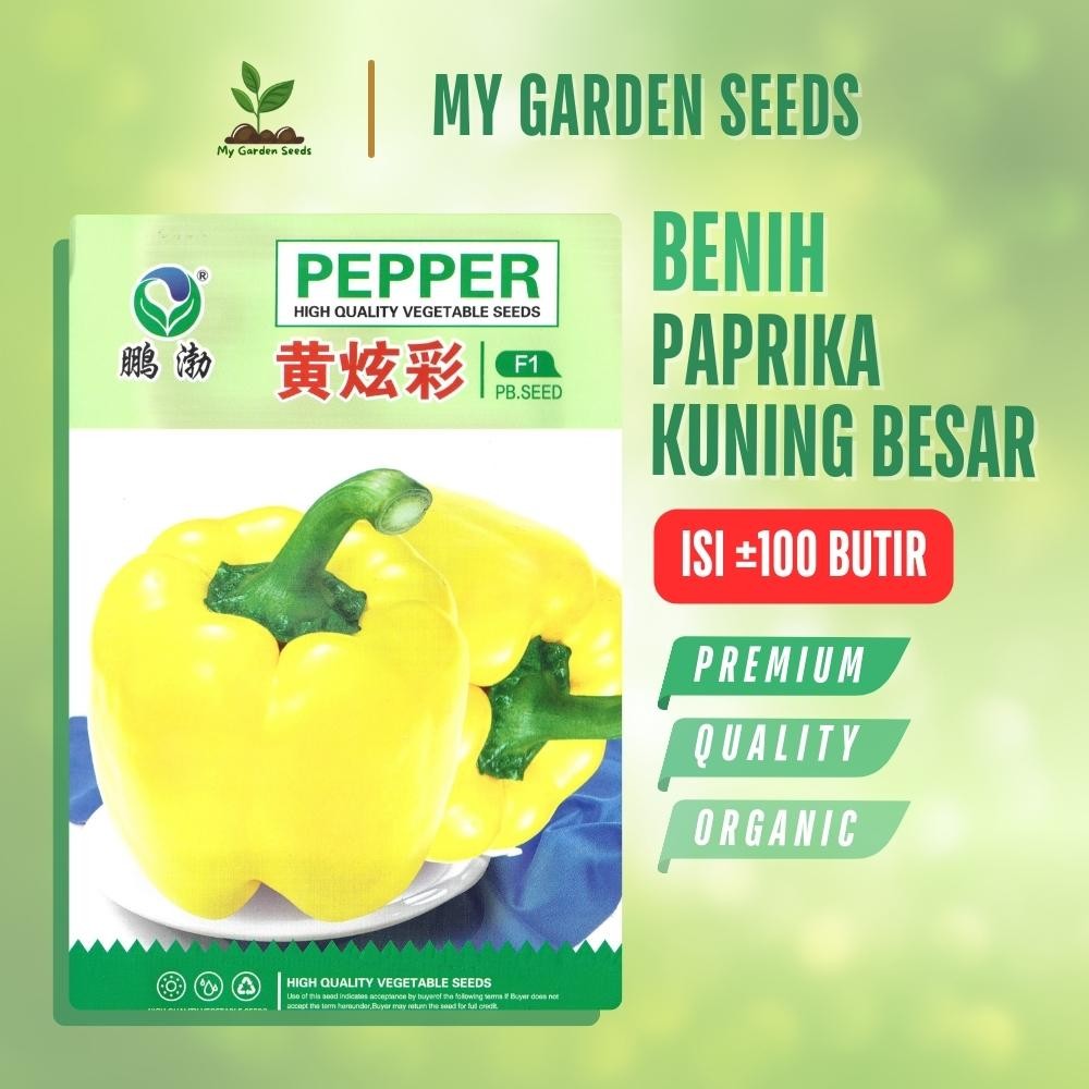 BENIH PAPRIKA KUNING BESAR KEMASAN IMPORT ± 100 BUTIR