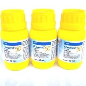 Paling ampuh Racun semut regent 50