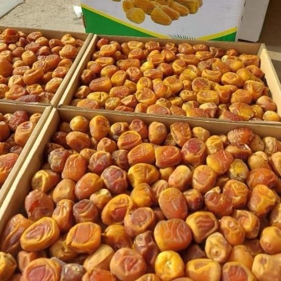 

Kurma Sukari Al Qasim Organik 3kg