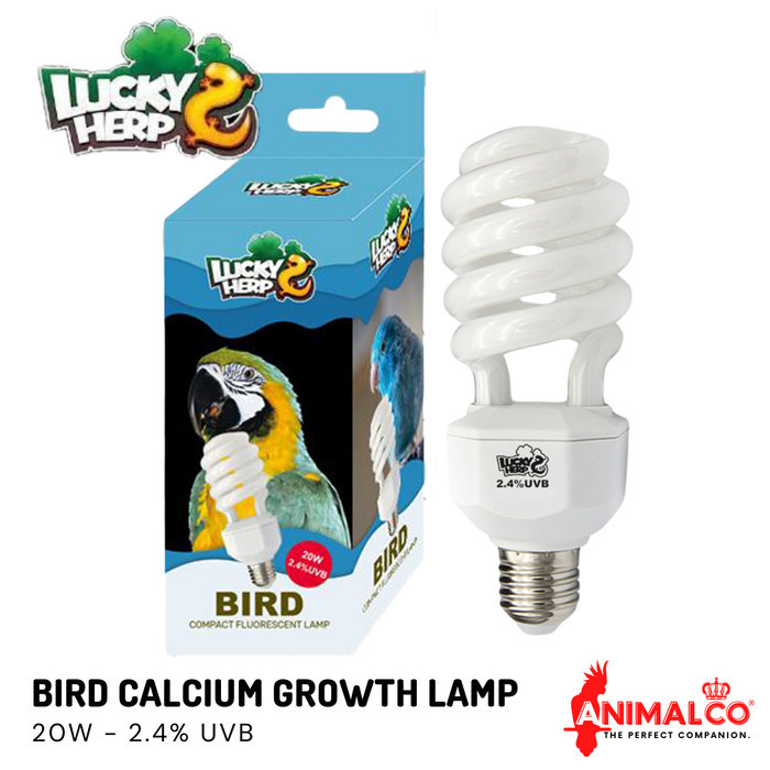 LAMPU BURUNG 2.4% UVB KALSIUM VITAMIN PENGHANGAT LUCKY HERP BIRD LAMP