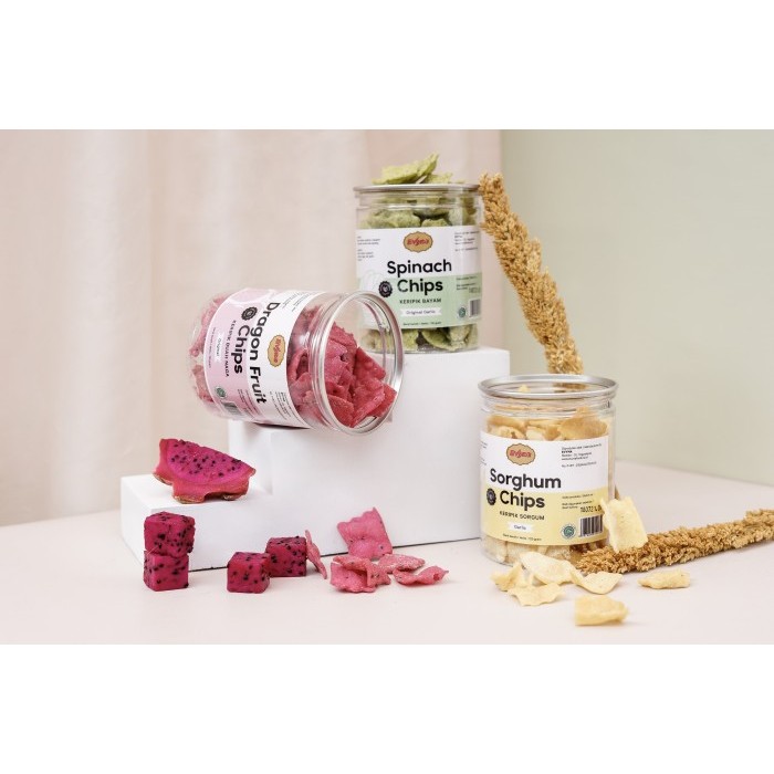 

PAKET EVYNA KERIPIK UNIK 3 RASA