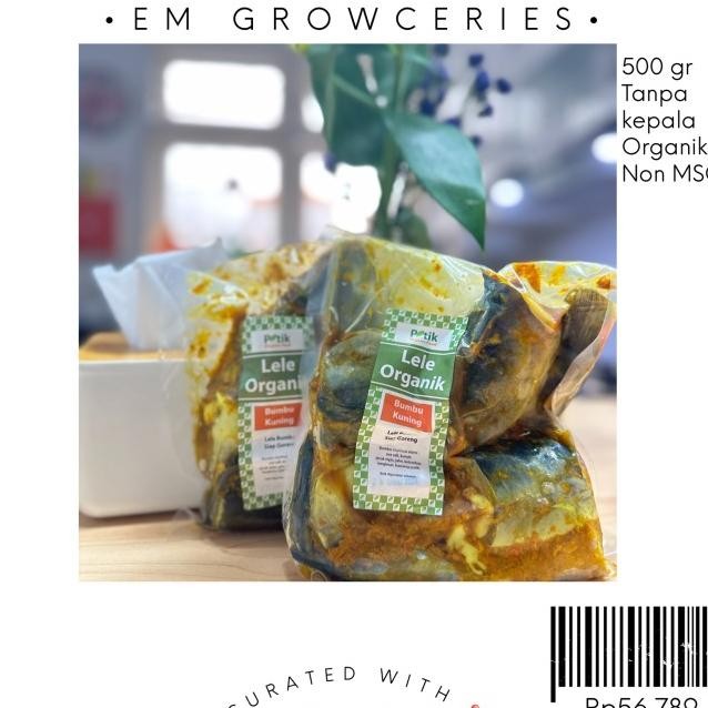 

Lele Organi Marinai Bumbu Uning By Peti Organi