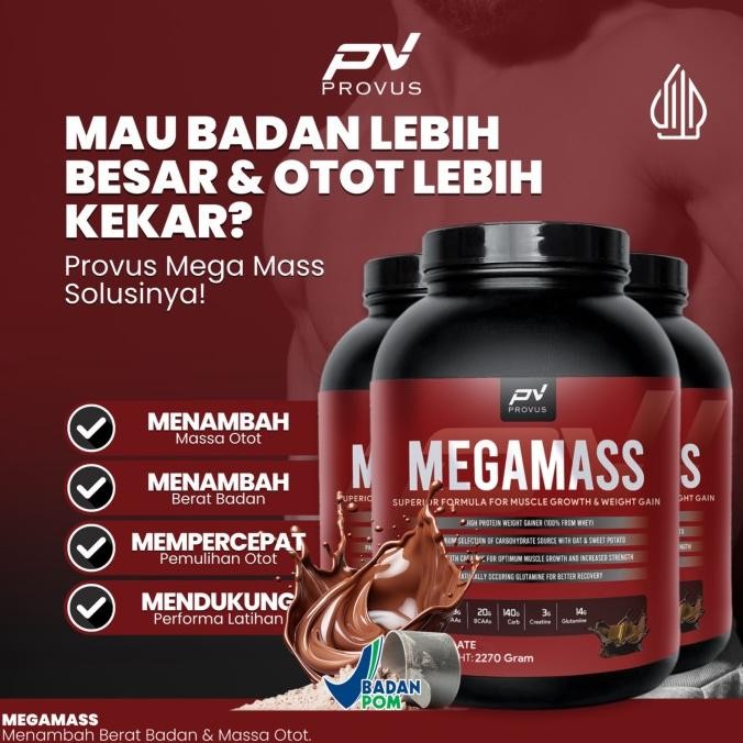 Provus Megamass 5 Lbs Mega Mass Weight Gainer Protein