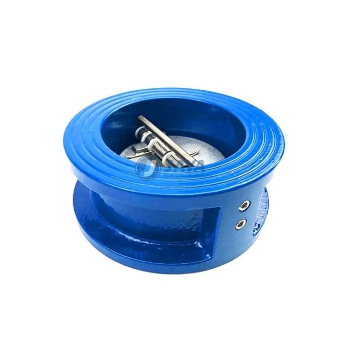 Sale Wafer Check Valve 5 Inches Cast Iron Disc Ss / Wafer Double Door Check Valve 5"