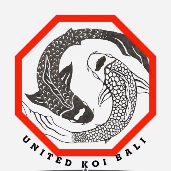 Tong Filter Tong Biru Filter Kolam Ikan Koi 200 Liter New