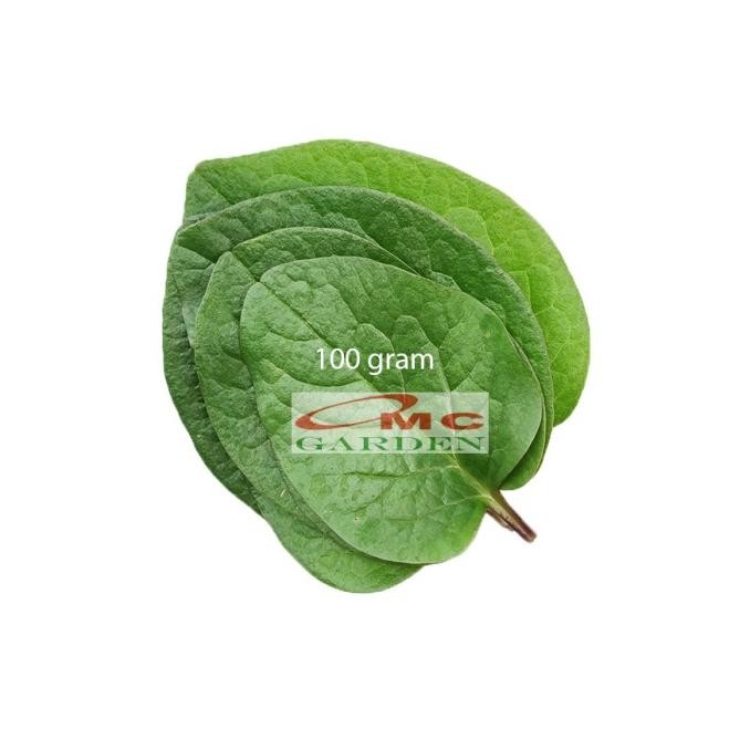 

Daun Binahong Merah Hijau Tanaman Piahong Obat Herbal Organik Segar Fresh Tanpa Pestisida 100 Gram Ori