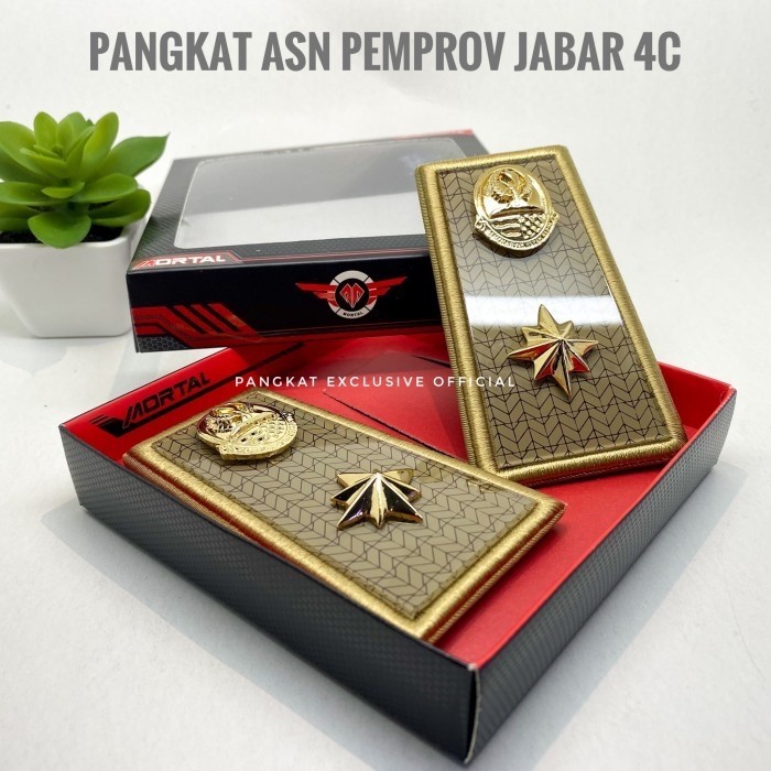 Town Pangkat Asn Pemprov Jabar 4C - Pangkat Asn Pemprov Jawa Barat 4C