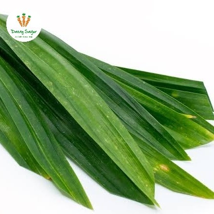 

Daun Suji Segar - 100gram