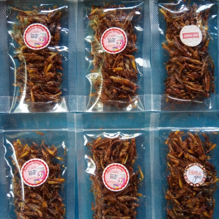 

BOOM SALE Belalang goreng kriuk gurih pedas enak lezat camilan sehat instan jajanan makanan ringan