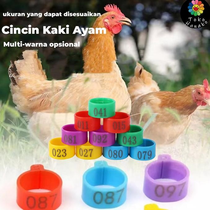 

READY 100 PCS CINCIN KAKI AYAM GELANG KAKI AYAM BEBEK UNGGAS NO. 001-100