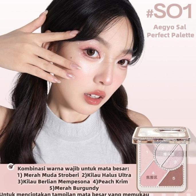 Baru JUDYDOLL 5 SHADES EYEBROW POWDER / JUDYDOLL EYESHADOW PALLET / JUDYDOLL EYEBROW POWDER