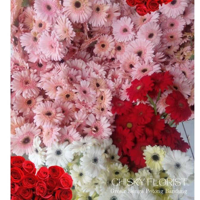 BUNGA HEBRAS 1 GABUNG