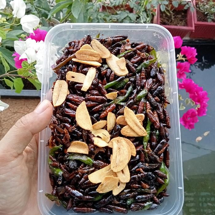 

PROMO SPECIAL keripik entung jati,entung jati crunchy,entung jati lombok ijo ,sambel entung