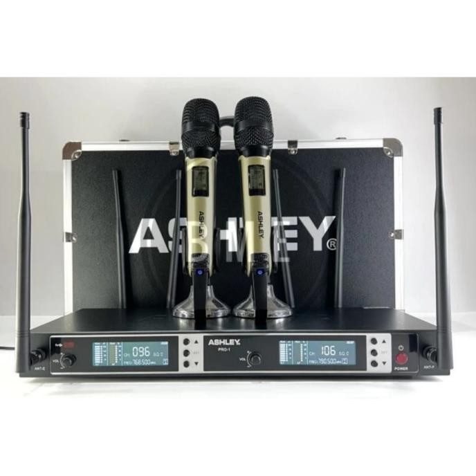 Paket Karaoke Ashley 10 Inch New Stok