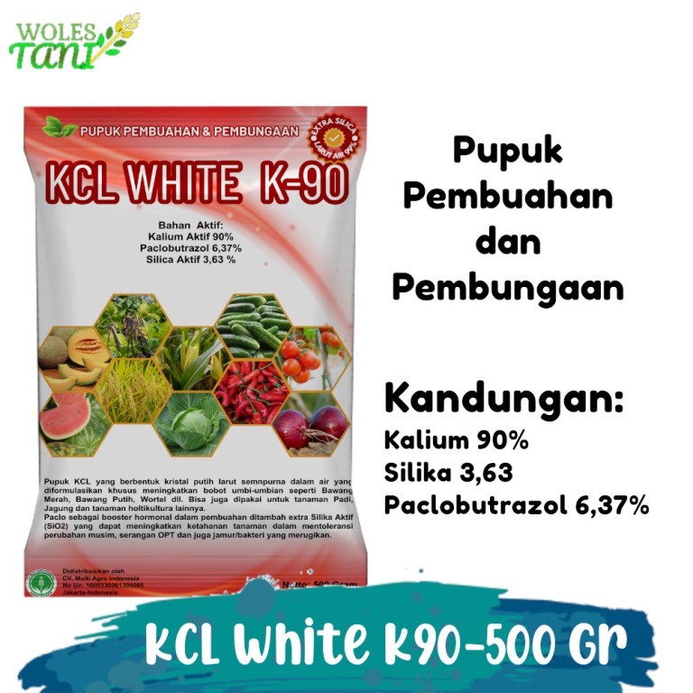 KCL White K90 500 Gram Kalium Silika plus Paclobutrazol Pupuk Pembuahan