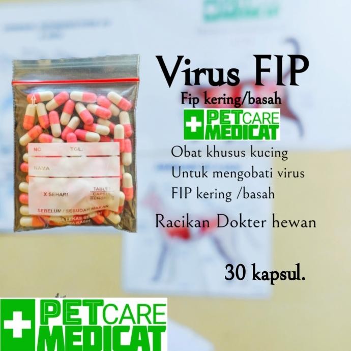 obat virus fip obat virus fip basah fip kering obat virus fip kucing