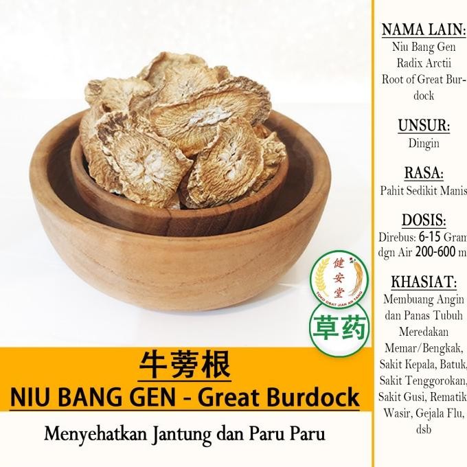 

] NIU BANG GEN - Root of the Great Burdock - Radix Arctii[] Herbal TCM Per 100 Gram u.Buang Angin dan Panas Tubuh