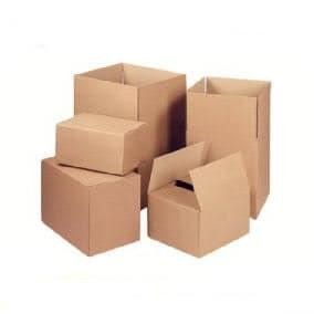 

CO Dus polos, double wall 43x32x10 = 100 pcs