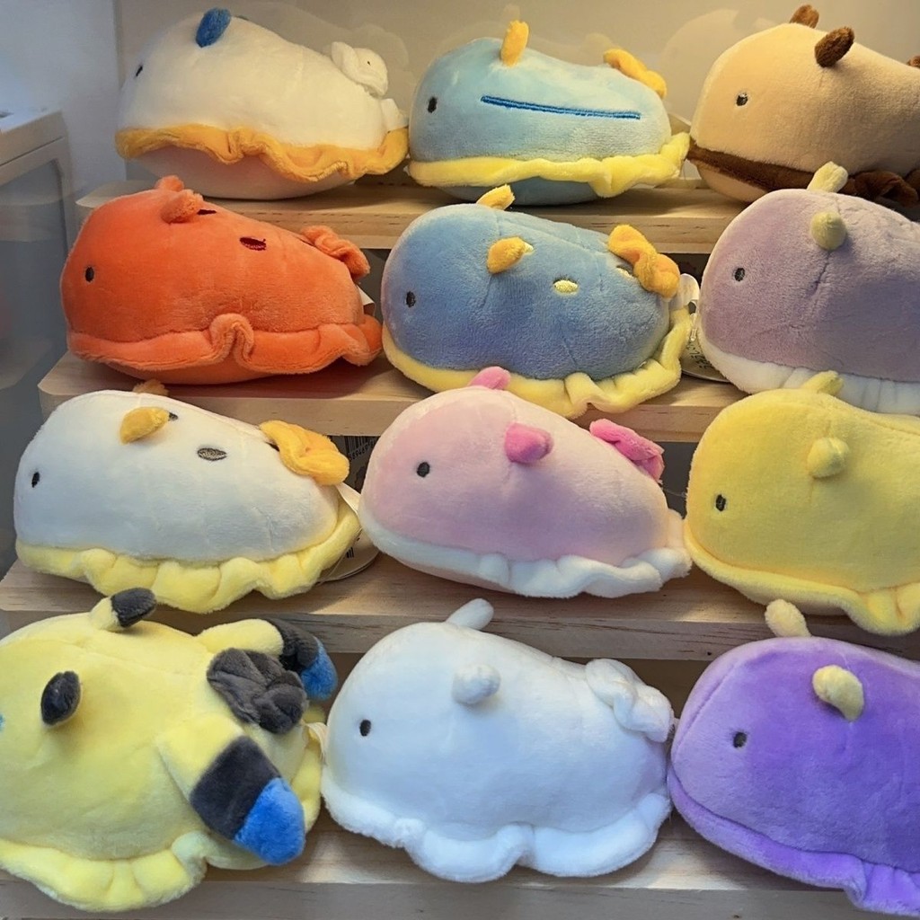 Boneka Cowrie Telur Siput Laut Hidup Laut