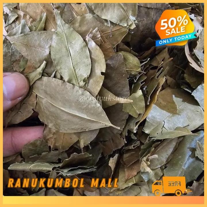 

500GR DAUN KEMUNING KERING RANU KUMBOL MALL KUALITAS TERBAIK!!!!