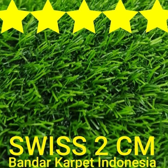 karpet rumput swiss 2 cm rumput sintetis meter rumput sintetic meter