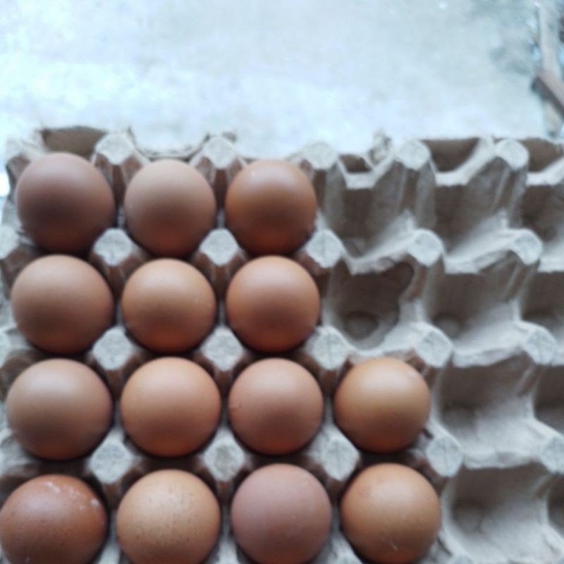 

TERMURAH!! Telor Ayam Negeri Kiloan
