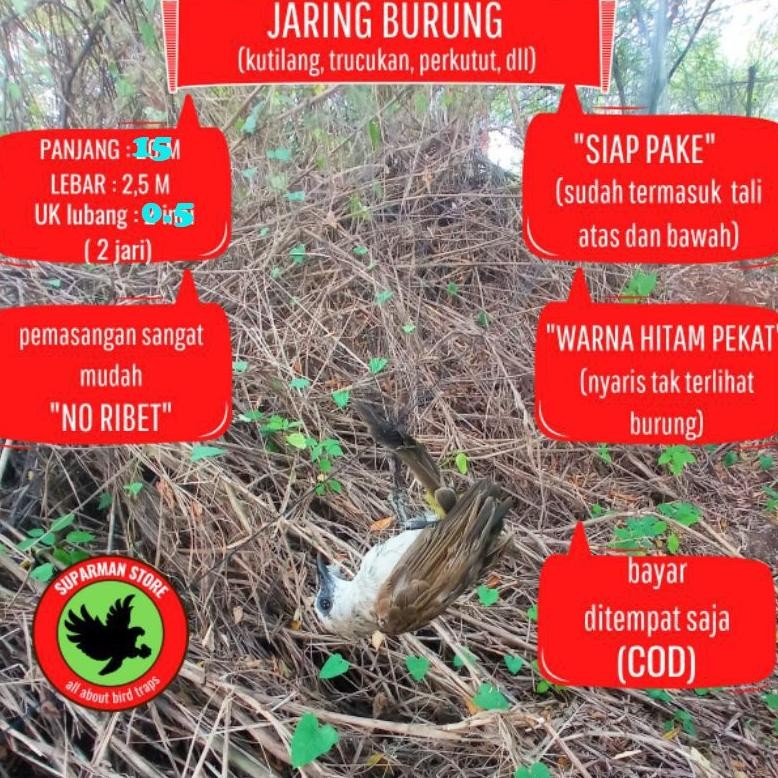 ht-12 Jaring Burung Pikat Store Nilon Jebakan Burung Derkuku Perkutut Trucuk Kutilang Pleci Pipit Ka