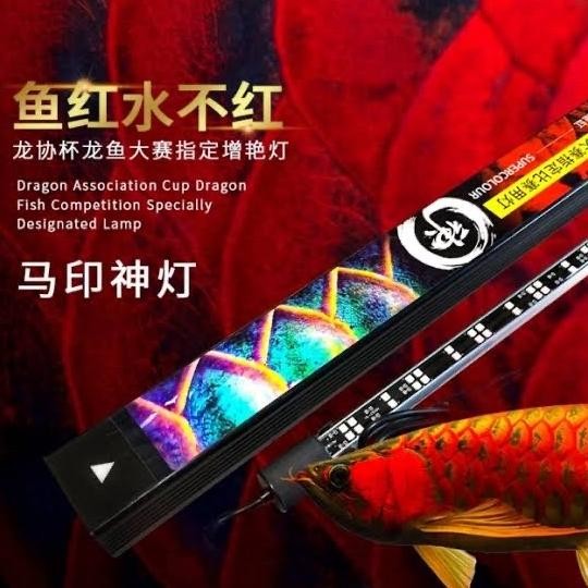 Murah Lampu View Mayin - 72Cm - Arwana Super Red - Aquarium - Submersible