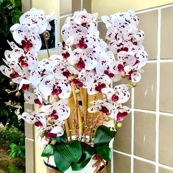 Terlaris Bunga Anggrek Latek Jumbo 5 Cabang Vas Phirus Dekorasi Pot Plastik Mekar Terbuat Dari Latex