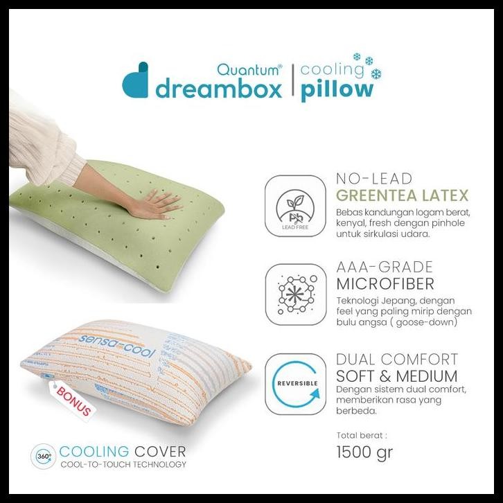 QUANTUM DREAMBOX COOLING PILLOW / BANTAL DINGIN / DUAL COMFORT