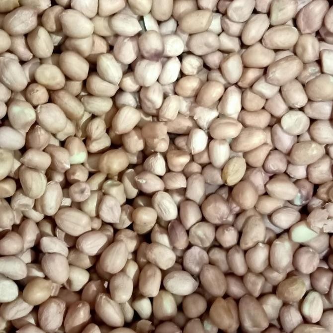 

(Good) Kacang Tanah Tuban 8mm kemasan 1 kg