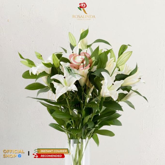 Bunga Lily / Bunga Potong Segar Terlaris