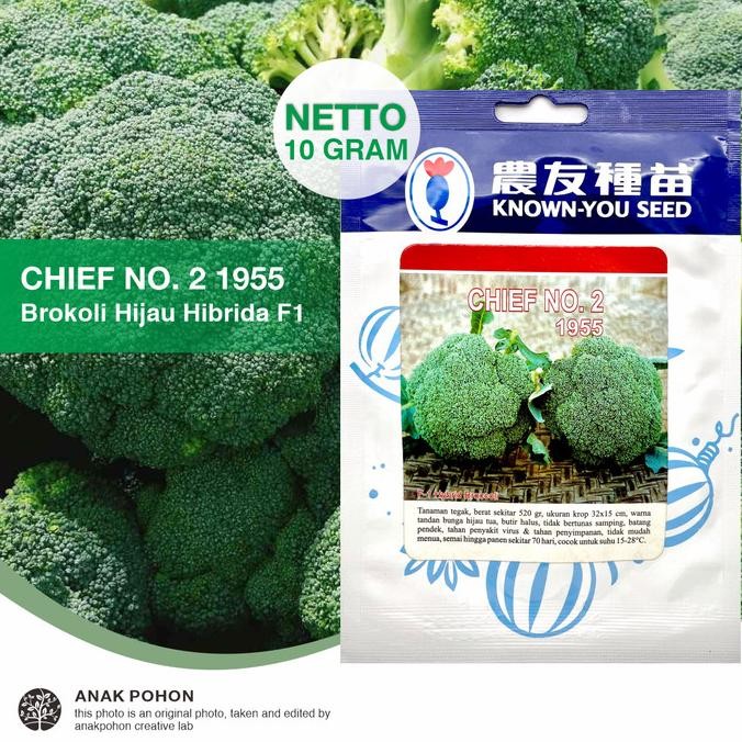 

(1 PACK) Benih Brokoli Hijau Chief No. 2 1955 Hibrida F1 - KYS murah