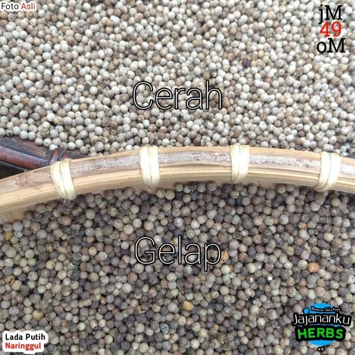 

Lada Putih 1Kg Biji Utuh Merica Biji Pedes Best Quality Lada Premium murah