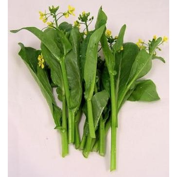 Benih / Bibit / Biji - Sawi Bunga Caisim Hongkong (Choy Sum) - IMPORT murah