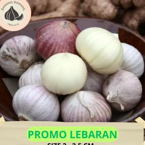 

Bawang Putih Tunggal Lanang Besar 1KG murah