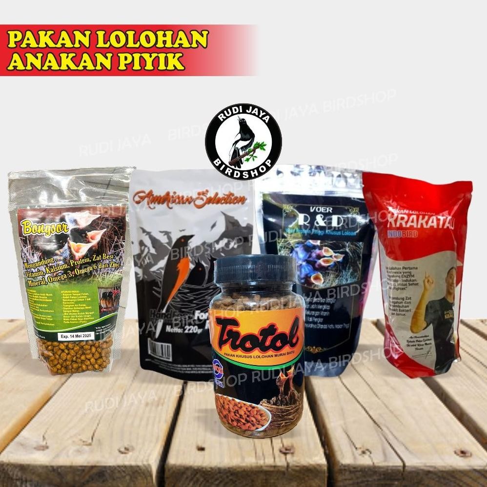 jg-8 AMS LOLOH BONGSOR BRAL BRUL KRAKATAU R&D RnD PAKAN MAKANAN LOLOH LOLOHAN ANAKAN PIYIK BURUNG MU