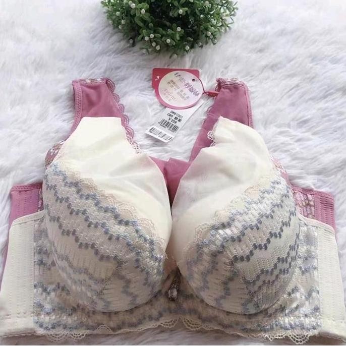 Terbaru, Dapat 3Pcs Free Cd  Bra Wanita Kawat Cup C To D Busa Tipis Kait 4 Size 32-40 Bra Push Up Pe