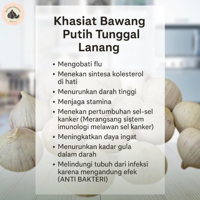 

Bawang Putih Tunggal Lanang Jamin Bagus 1Kg [terbaik]