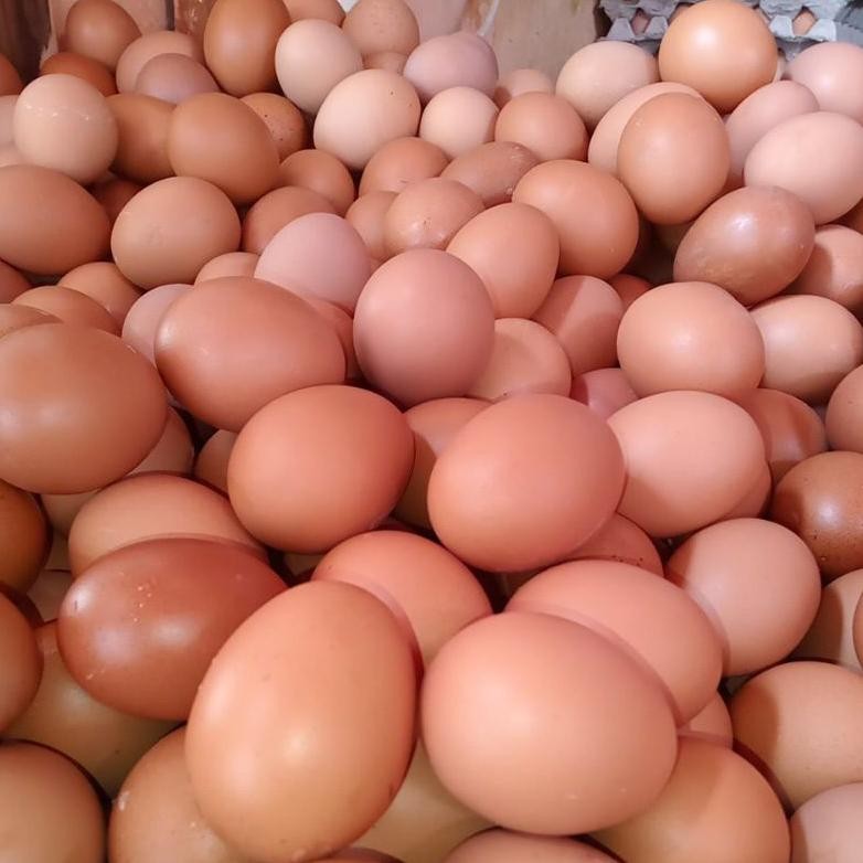 

Dh-68 Bisa Cod Telur Ayam Negeri Per 1 Kg