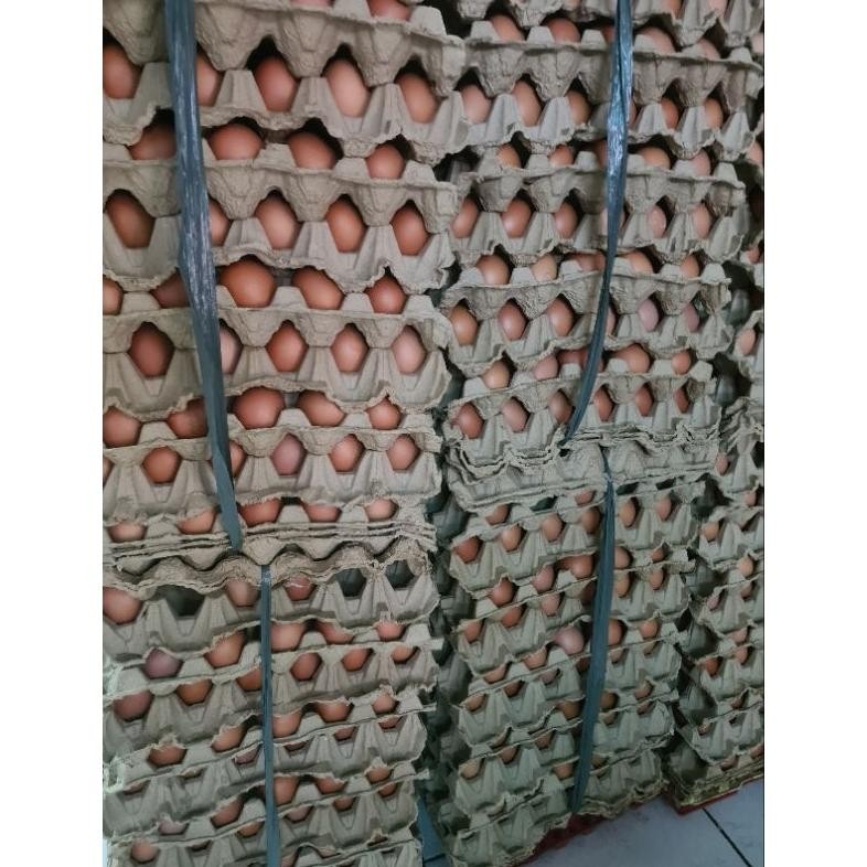 

Dwl-49 Telur Ayam Negri 30 Butir