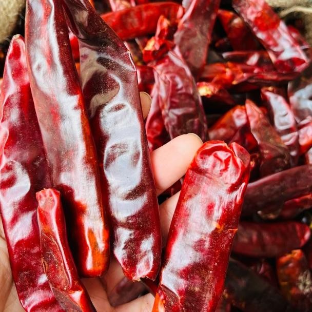 

Cabe Ering Merah Bear Cabe Wonder Hot Cabe Tanpa Tangai