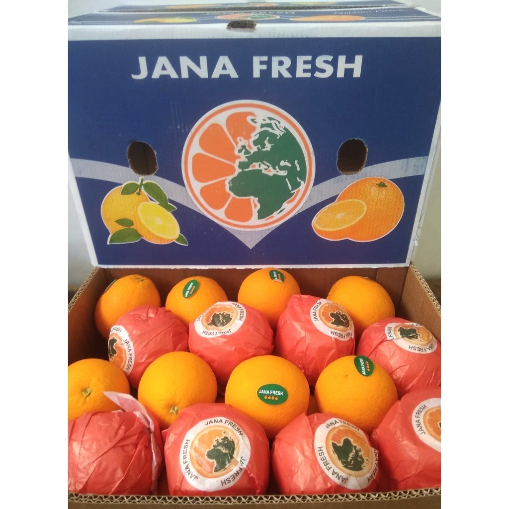 

Buah Jeruk Navel Valencia Cara-Cara Segar