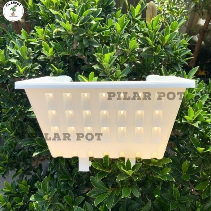 [Good] pot tempel atau ARGO putih