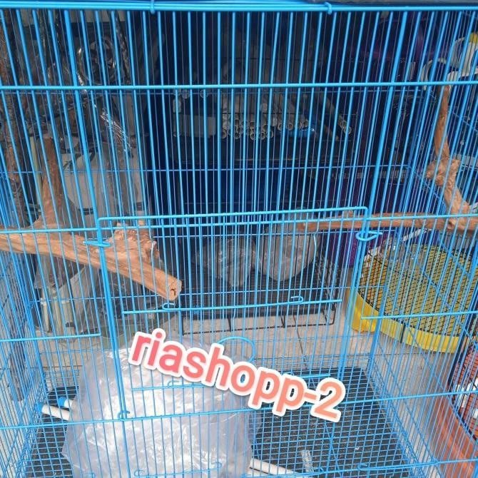 Promo Kandang Besi Kotak Jumbo Umbaran Kuat